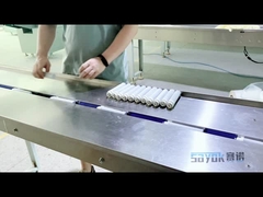 자동 수평선상 정화 카트리지 흐름 패키징 머신 220v