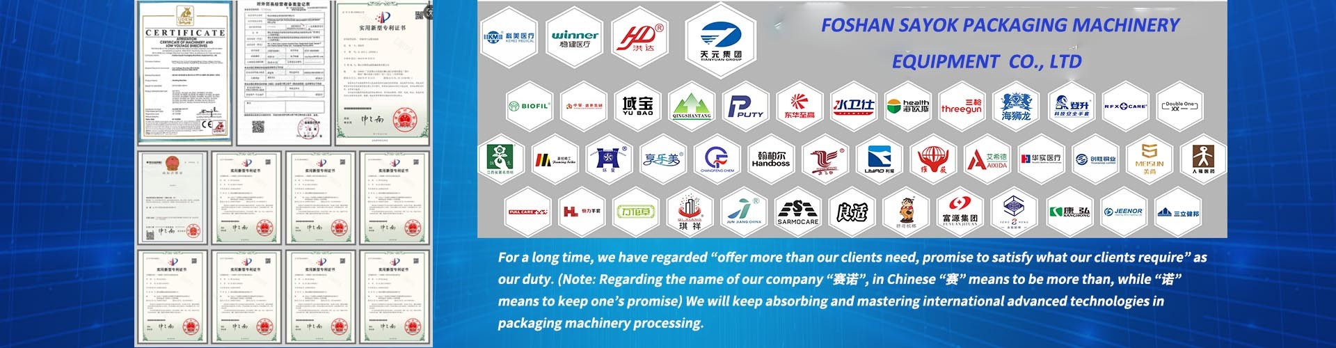 품질 자동 패킹 머신 공장